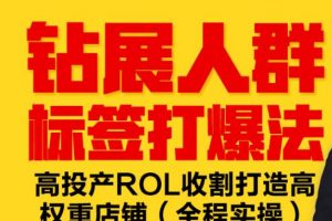 钻展人群标签打爆法，高投产ROL收割打造高权重店铺(全程实操)