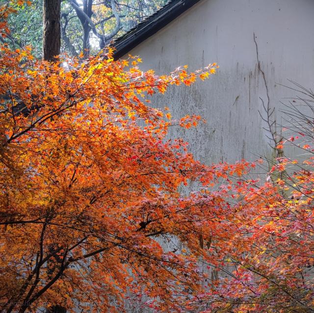 杭州寺庙杭州寺庙有哪些香火比较旺的插图1