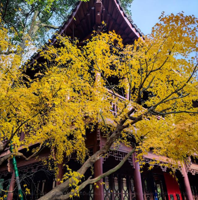 杭州寺庙杭州寺庙有哪些香火比较旺的插图5