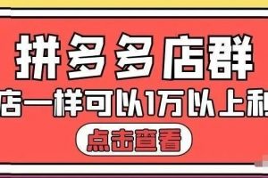 大凯电商·拼多多店群单店一样可以产出1万5以上利润【付费文章】