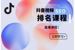 森淼·抖音SEO排名引流变现，教你如何布局抖音SEO获取更多免费流量