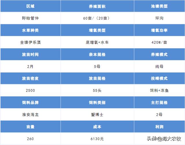 —个10亩鱼塘养鱼利润10亩池塘养鱼利润插图2