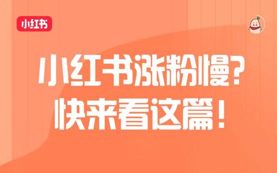 小红书买500个粉丝小红书买500个粉丝插图1