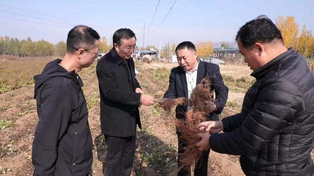 寻找药厂合作种植药材寻求药材种植合作插图