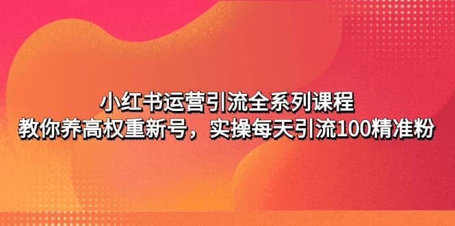 小红书运营引流全系列课程：教你养高权重新号插图