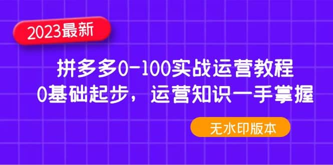 2023拼多多0-100实战运营教程，0基础起步，运营知识一手掌握（无水印）插图