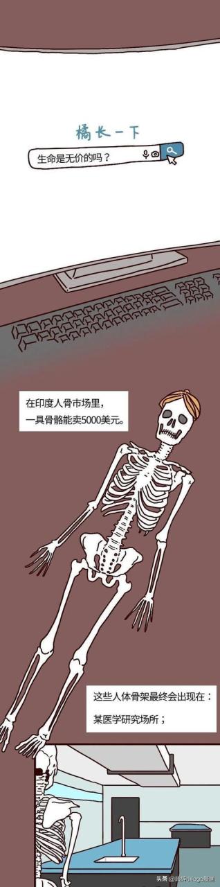 现在—个肾值多少钱插图