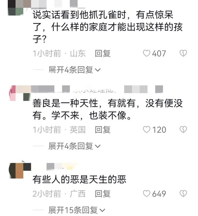 世界上最恐怖的孔雀世界上最恐怖的孔雀是什么插图8