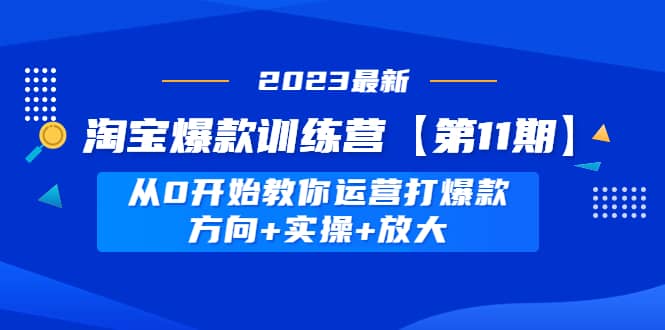 淘宝爆款训练营【第11期】 从0开始教你运营打爆款，方向 实操 放大插图