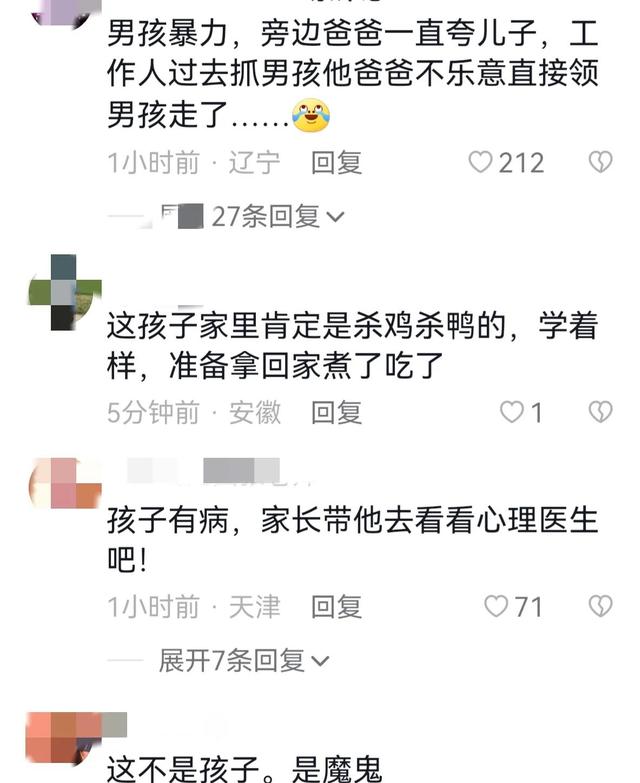 世界上最恐怖的孔雀世界上最恐怖的孔雀是什么插图6