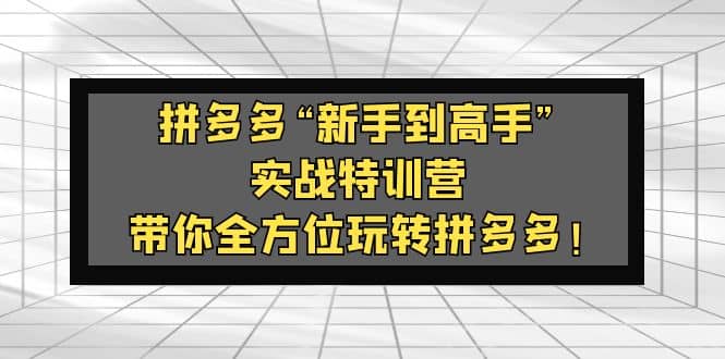 拼多多“新手到高手”实战特训营：带你全方位玩转拼多多插图