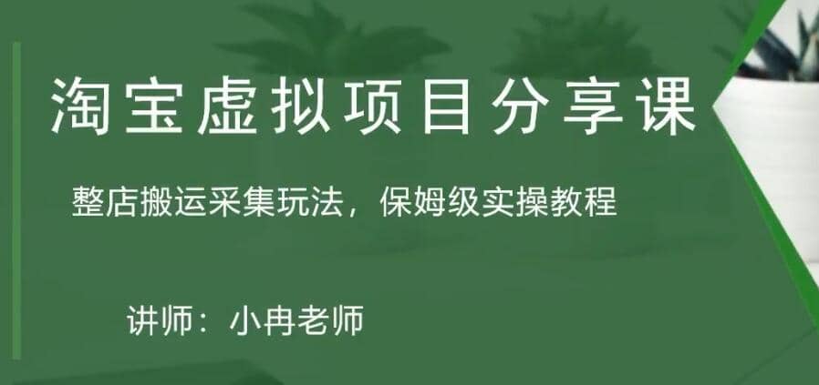 淘宝虚拟整店搬运采集玩法分享课：整店搬运采集玩法，保姆级实操教程插图