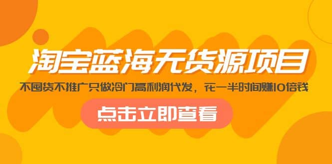 淘宝蓝海无货源项目，不囤货不推广只做冷门高利润代发插图