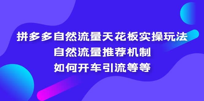 拼多多自然流量天花板实操玩法：自然流量推荐机制，如何开车引流等等插图