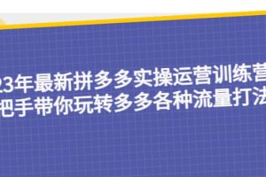 23年最新拼多多实操运营训练营：手把手带你玩转多多各种流量打法！