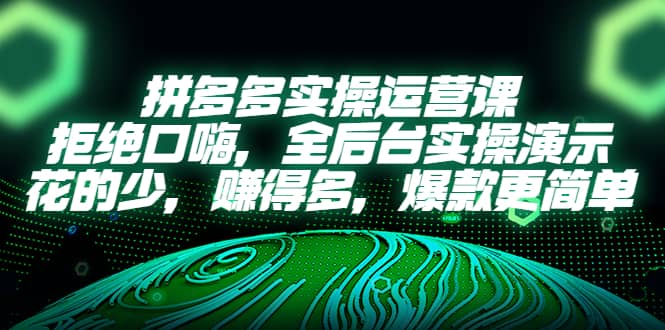 拼多多实操运营课：拒绝口嗨，全后台实操演示，花的少，赚得多，爆款更简单插图