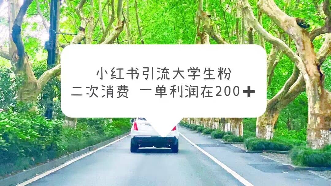 小红书引流大学生粉，变现项目，一单利润在200 （教程 资源）插图