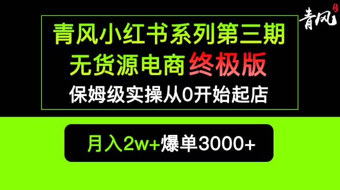 小红书无货源电商爆单终极版【视频教程 实战手册】保姆级实操从0起店爆单插图