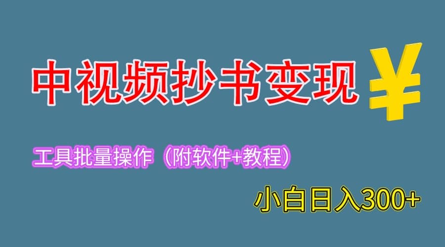 2023中视频抄书变现（附工具 教程），一天300 ，特别适合新手操作的副业插图