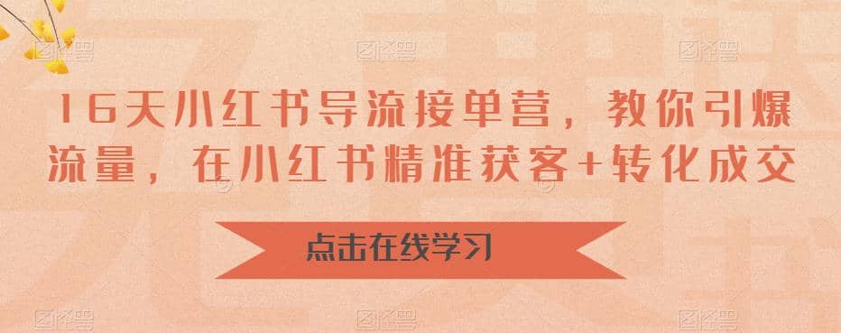 16天-小红书 导流接单营，教你引爆流量，在小红书精准获客 转化成交插图