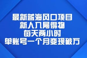 最新蓝海风口项目，新人入局得物，每天两小时，单账号一个月变现破万