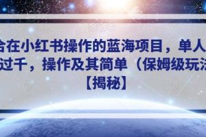 适合在小红书操作的蓝海项目，单人日收入过千，操作及其简单（保姆级玩法）【揭秘】