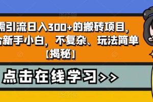 无需引流日入300 的搬砖项目，适合新手小白，不复杂、玩法简单【揭秘】