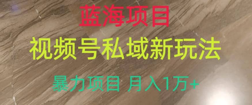 蓝海项目，视频号私域新玩法，暴力项目月入1万 【揭秘】插图