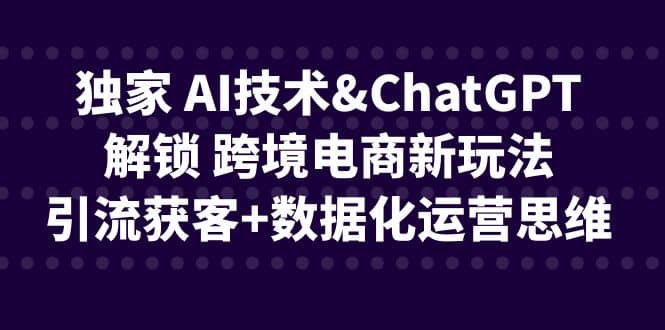 独家 AI技术ChatGPT解锁 跨境电商新玩法，引流获客 数据化运营思维插图