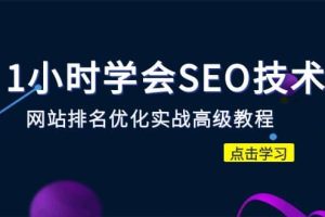 1小时学会SEO技术 网站排名优化实战高级教程-秒杀市面95%收费几千的SEO教程