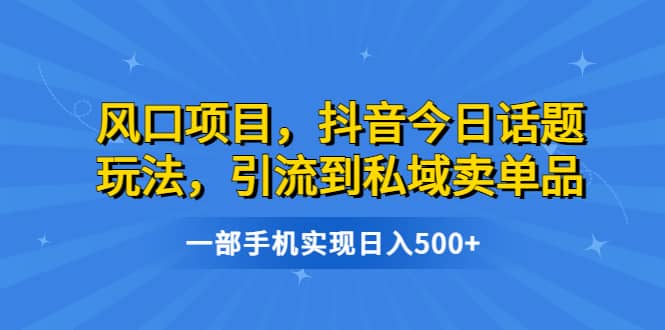 风口项目，抖音今日话题玩法，引流到私域卖单品，一部手机实现日入500插图