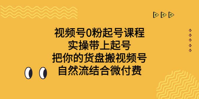 视频号0粉起号课程 实操带上起号 把你的货盘搬视频号 自然流结合微付费插图