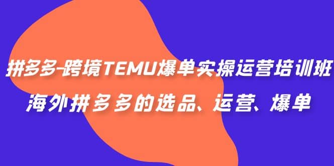 拼多多-跨境TEMU爆单实操运营培训班，海外拼多多的选品、运营、爆单插图