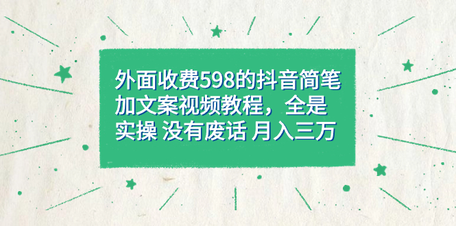 外面收费598抖音简笔加文案教程，全是实操 没有废话 月入三万（教程 资料）插图