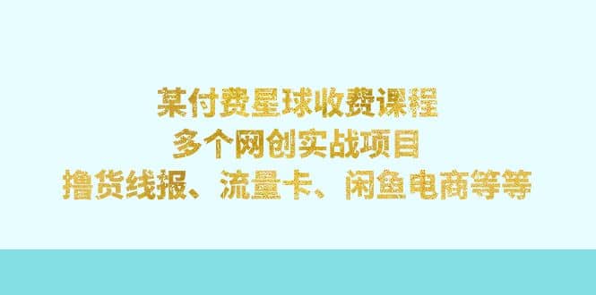 某付费星球课程：多个网创实战项目，撸货线报、流量卡、闲鱼电商等等插图