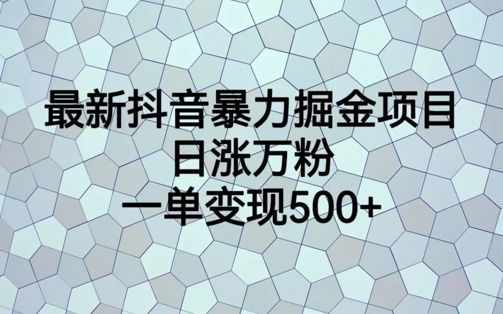 最火热的抖音暴力掘金项目，日涨万粉，多种变现方式，一单变现可达500插图