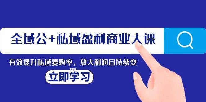 全域公 私域盈利商业大课，有效提升私域复购率，放大利润且持续变现插图