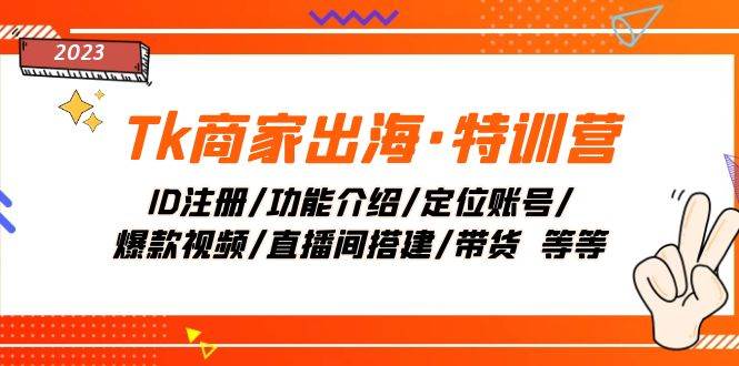 Tk商家出海·特训营：ID注册/功能介绍/定位账号/爆款视频/直播间搭建/带货插图