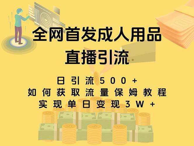 最新全网独创首发，成人用品直播引流获客暴力玩法，单日变现3w保姆级教程插图