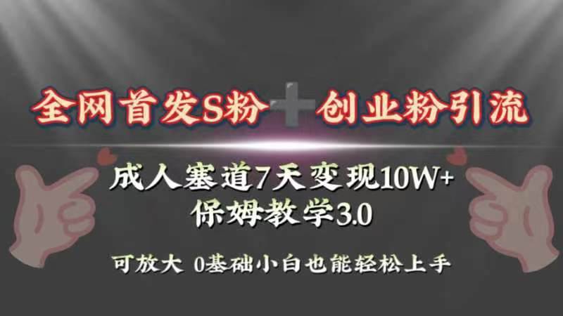 全网首发s粉加创业粉引流变现，成人用品赛道7天变现10w 保姆教学3.0插图