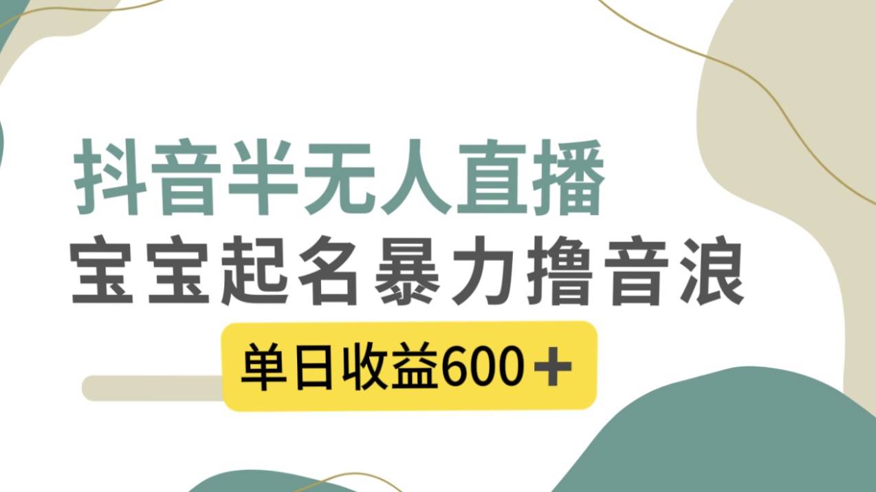 抖音半无人直播，宝宝起名，暴力撸音浪，单日收益600插图