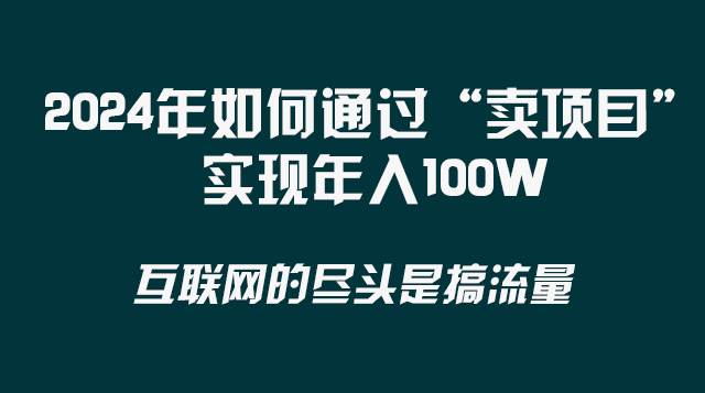 2024年如何通过“卖项目”实现年入100W插图