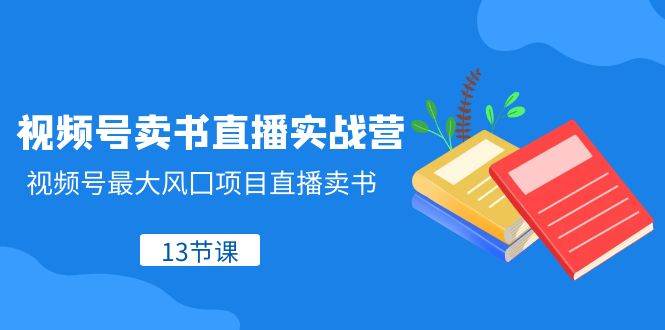 视频号-卖书直播实战营，视频号最大风囗项目直播卖书（13节课）插图