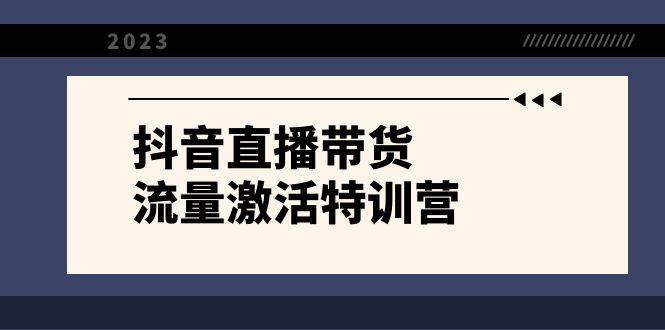 抖音直播带货-流量激活特训营，入行新手小白主播必学（21节课 资料）插图