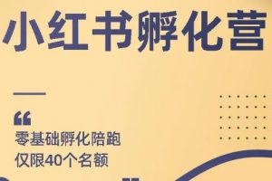 勇哥小红书撸金快速起量项目：教你如何快速起号获得曝光，做到月躺赚在 3000+