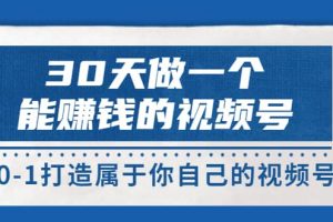 30天做一个能赚钱的视频号，从0-1打造属于你自己的视频号 (14节-价值199)