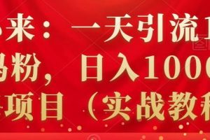 祖小来：一天引流100 宝妈粉，日入1000 的蓝海项目（实战教程）