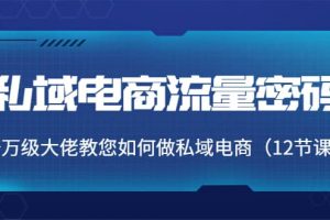 私域电商流量密码：千万级大佬教您如何做私域电商（12节课）