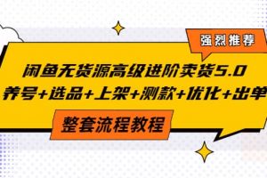 闲鱼无货源高级进阶卖货5.0，养号 选品 上架 测款 优化 出单整套流程教程