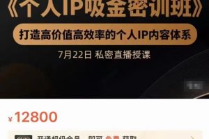 个人IP吸金密训班，打造高价值高效率的个人IP内容体系（价值12800元）